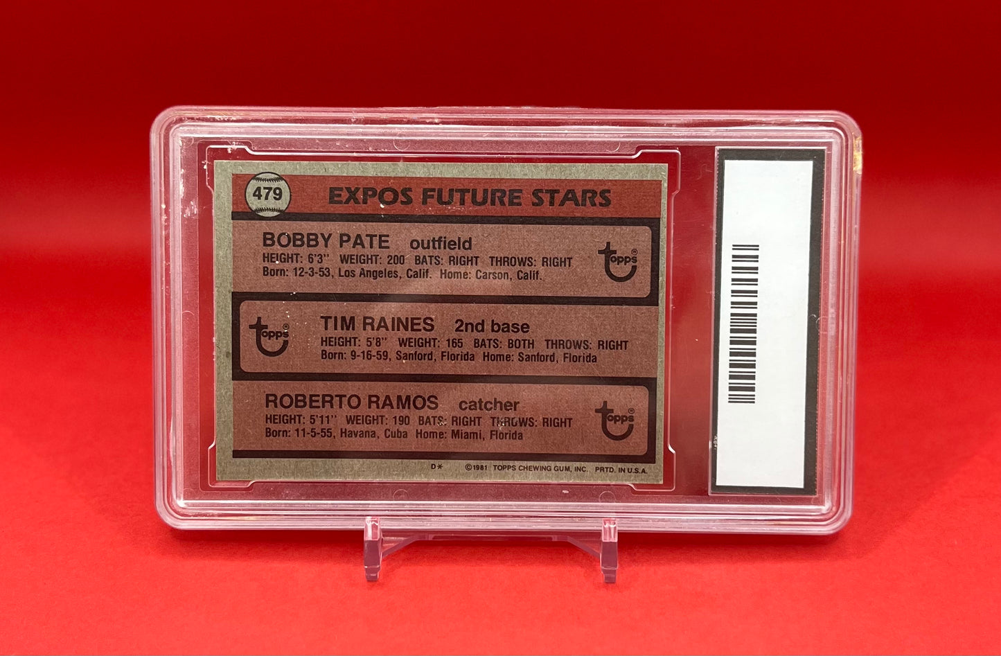 1981 #479 RAINES/RAMOS/PATE TOPPS - 10 GEM MINT
